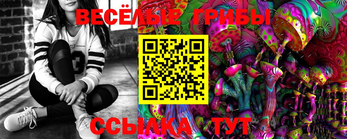 Псилоцибиновые грибы мухоморы Грозный